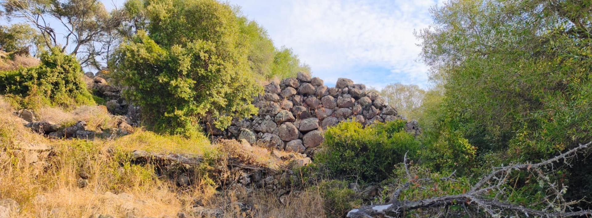 Nuraghe Scova