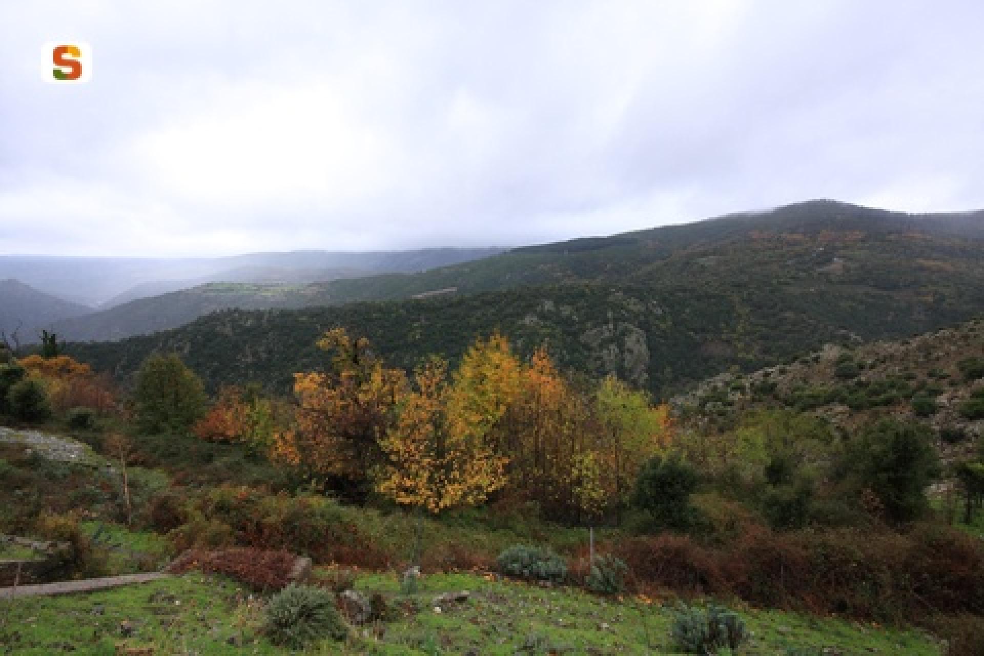 Aritzo, paesaggio autunnale in prossimità della chiesa di Santa Maria.jpg