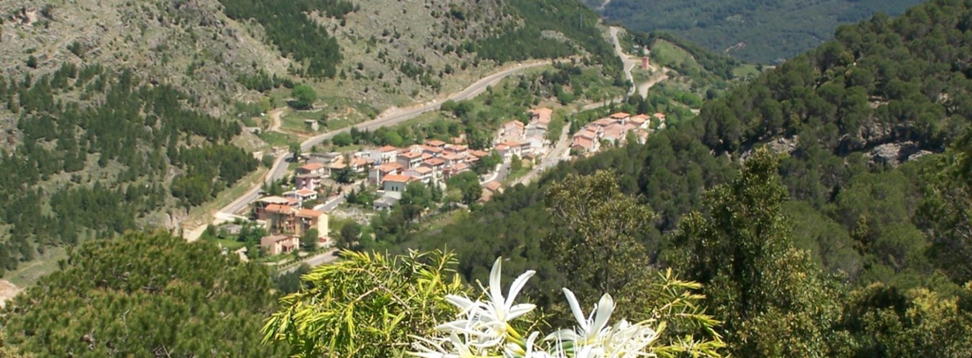 Gairo, panorama della frazione di Taquisara.jpg