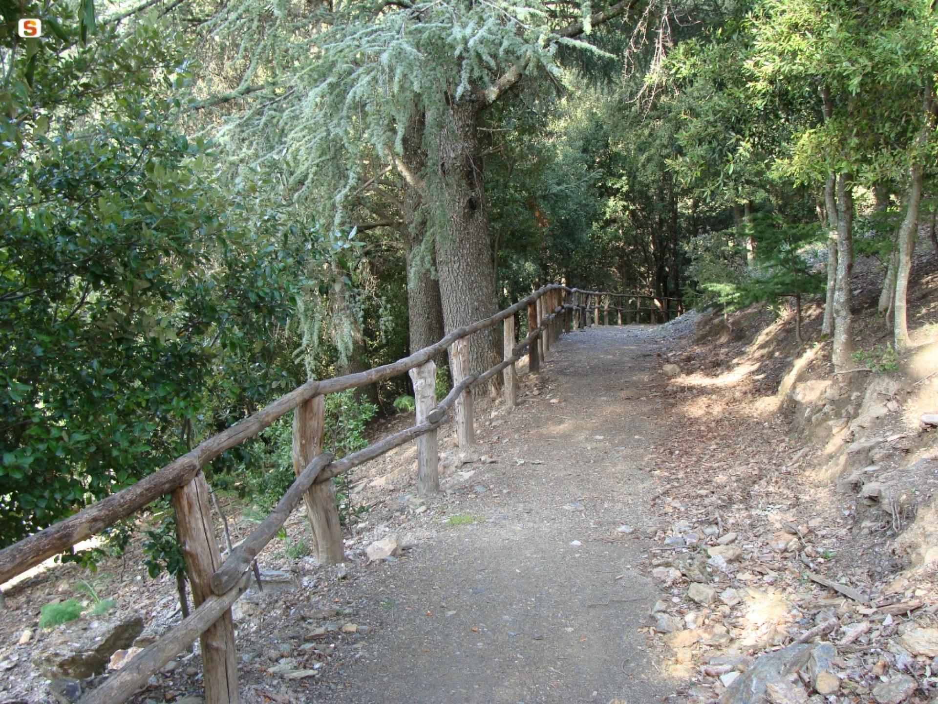 Sentiero Montarbu - San Sebastiano.jpg