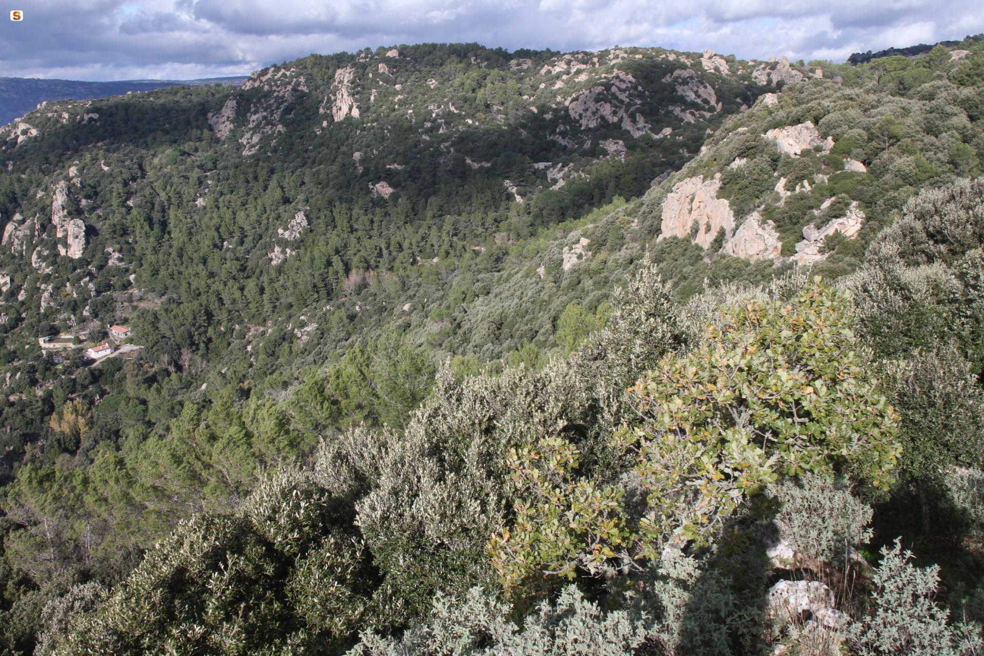 Su Monte Orthobene, panoramica verso l'Ortobene.jpg