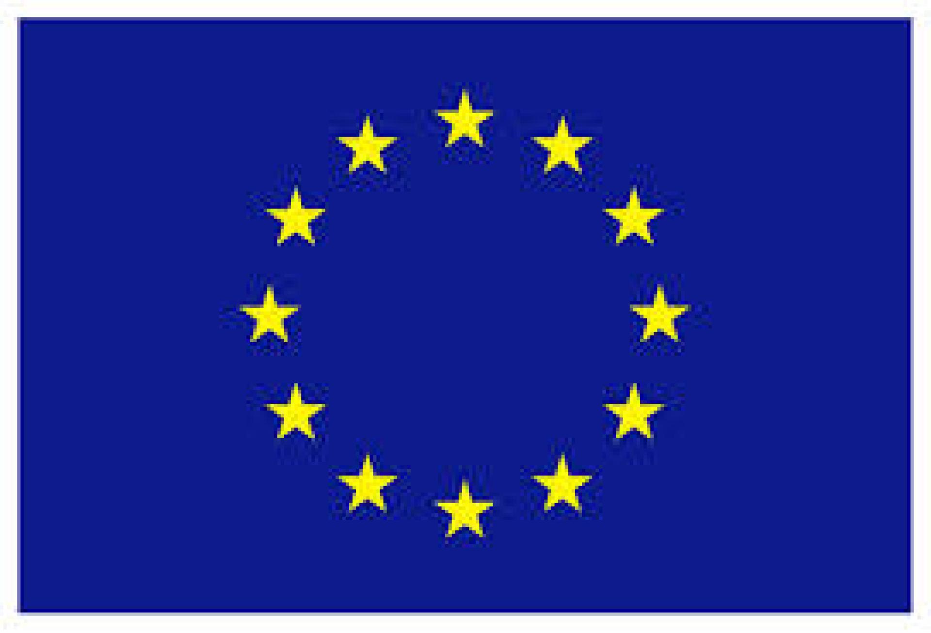 UE flag.jpg