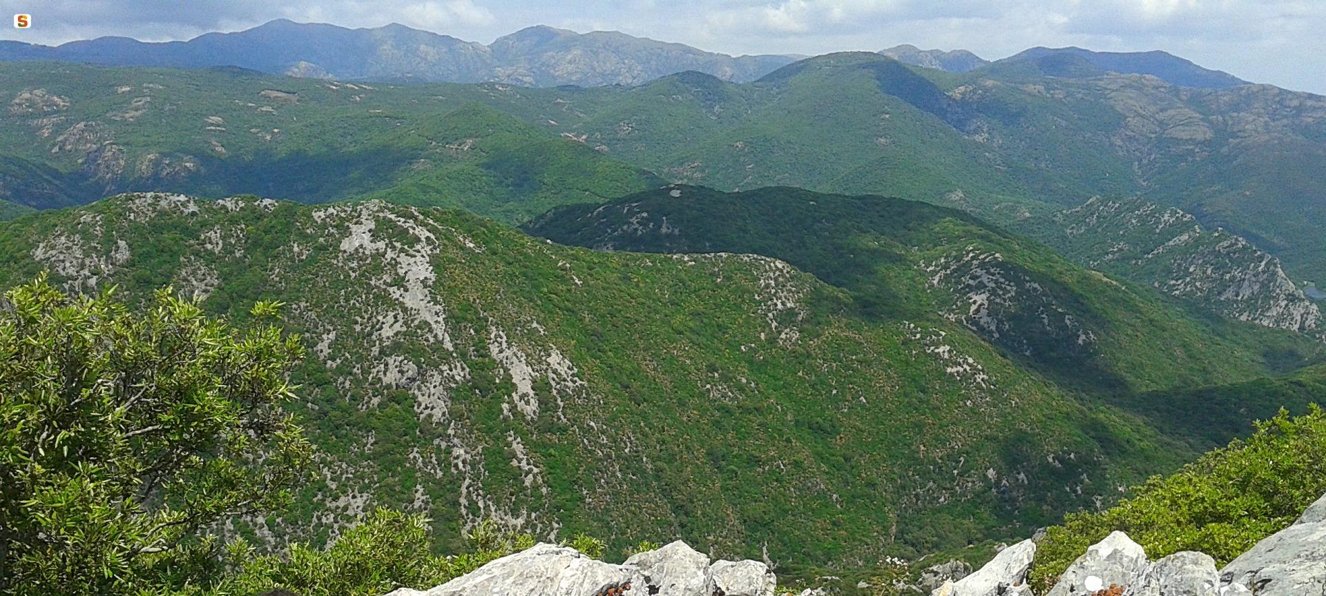 marganai panorama.jpg