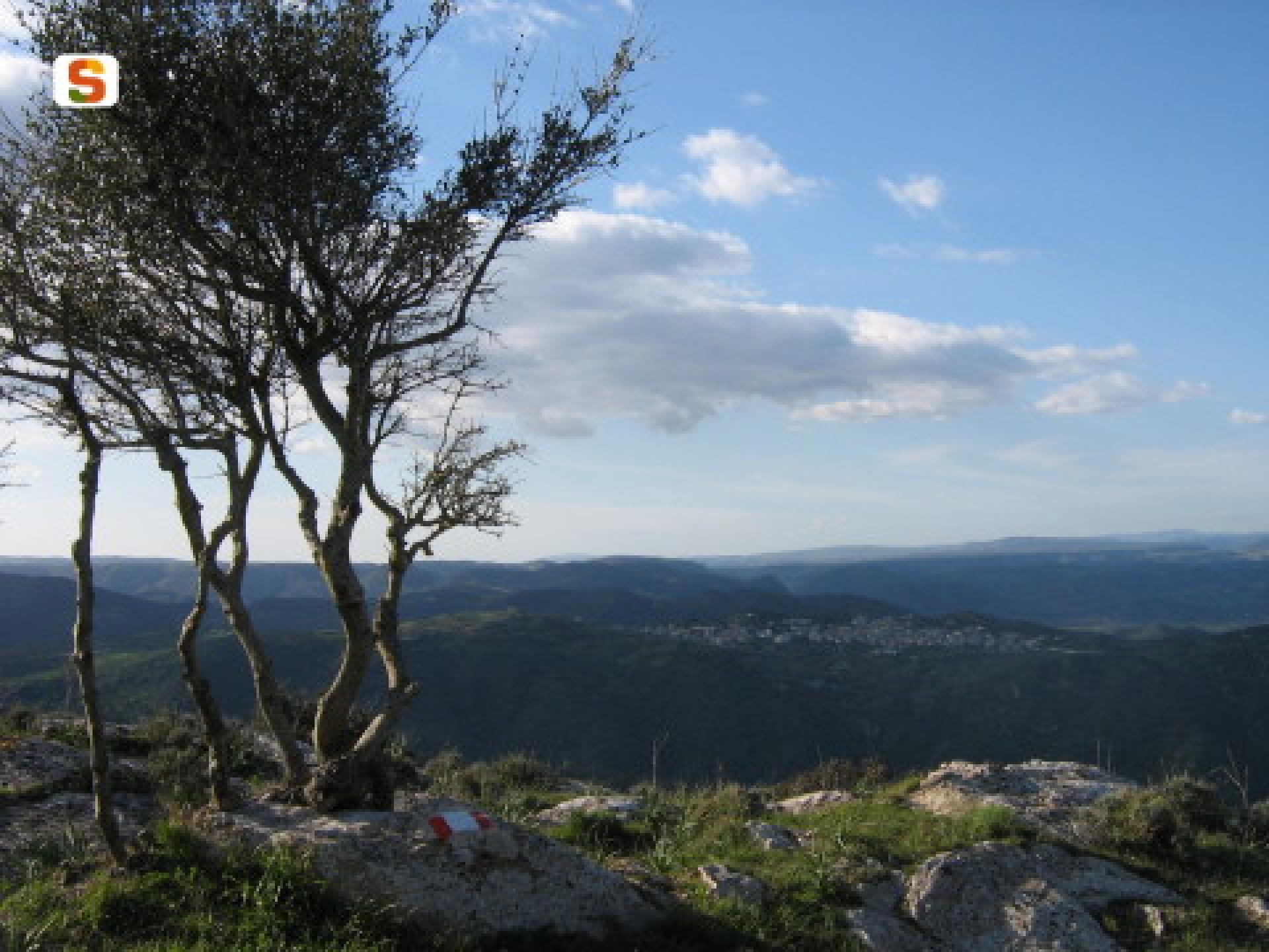 panorama belvedere su pardu.jpg