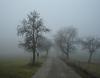 immagine della nebbia in campagna
