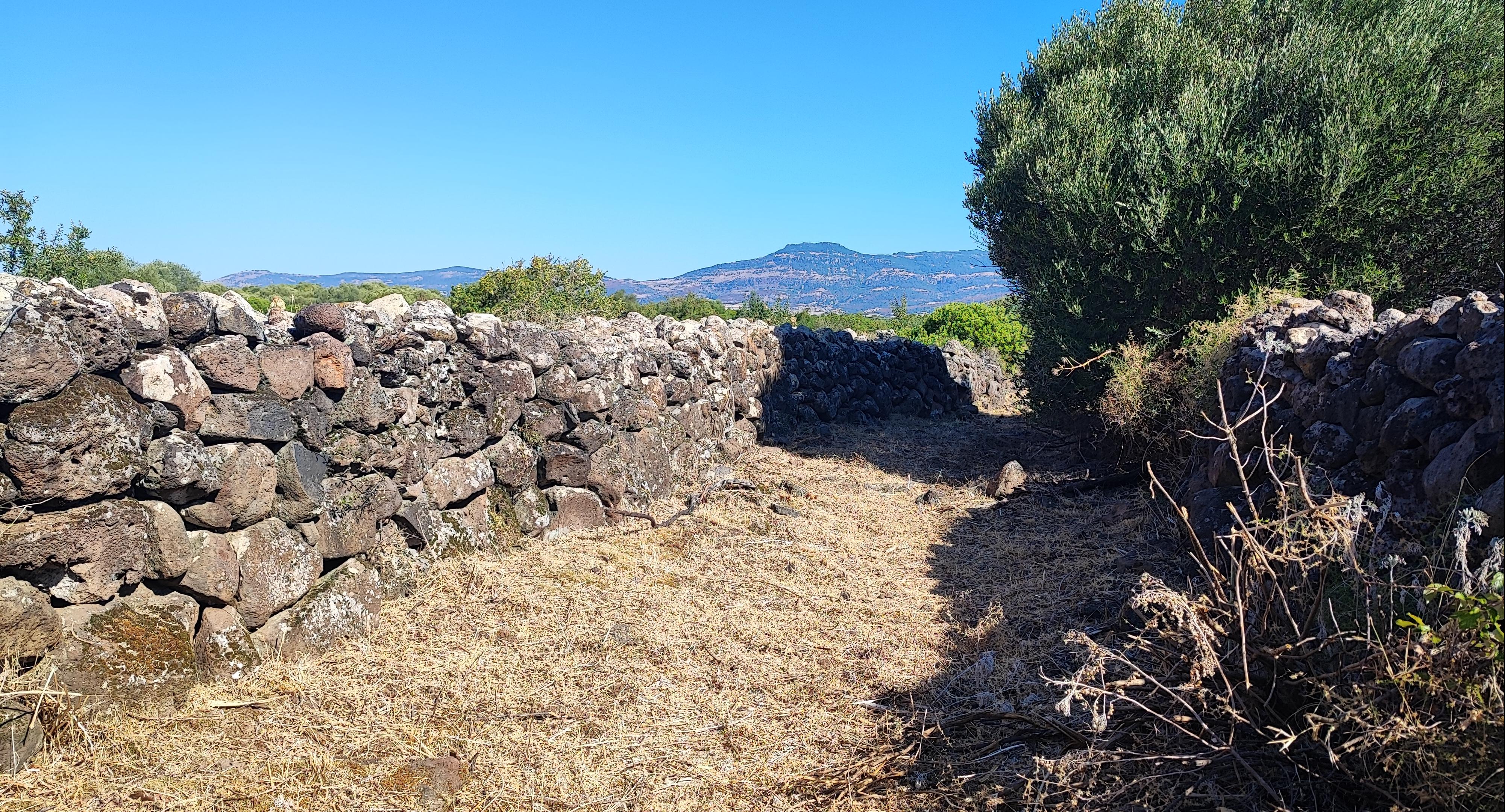 Panorama verso il Marghine