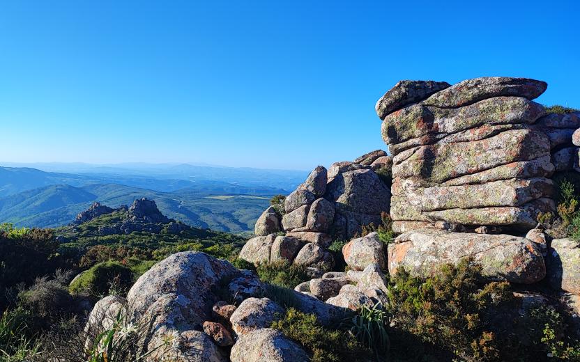 Lungo il sentiero C 400A - Monte Genis, Villasalto
