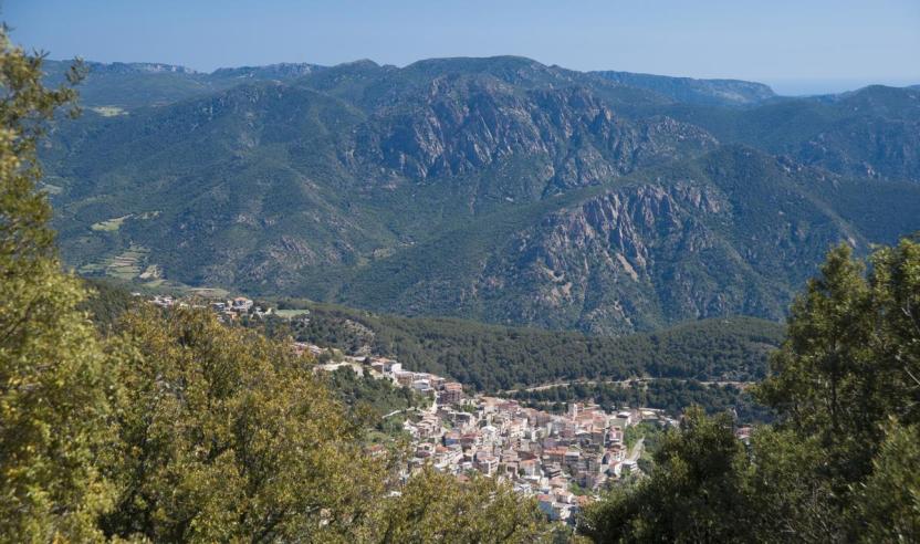 Comune Talana