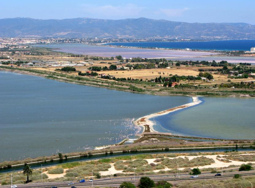 Stagno di Molentargius e saline, Cagliari-Quartu