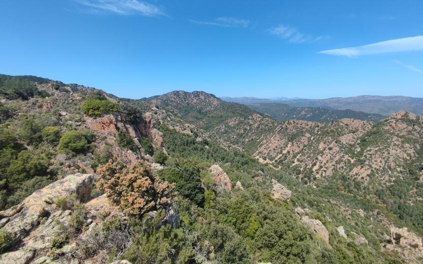 Panorama