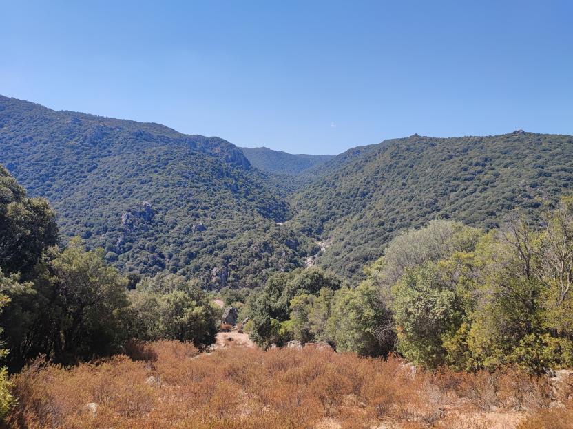 Panorama