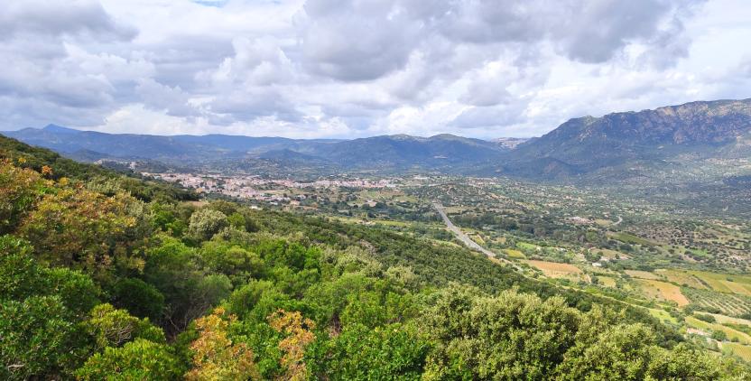 Panorama