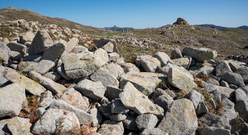 741 end - Nuraghe Ruinas.jpg