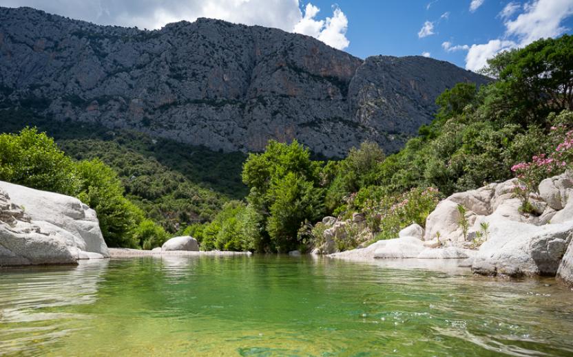 Riu Flumineddu presso Ponte Sa Barva (481 e 485).jpg