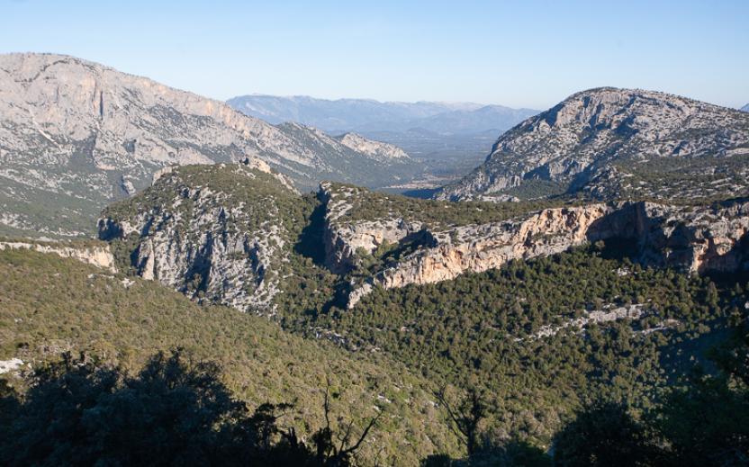 Vista verso nord da Sa Praiche 'e antonette (480).jpg