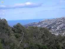 Vista panoramica del sentiero B- 181 nel territorio di Urzulei