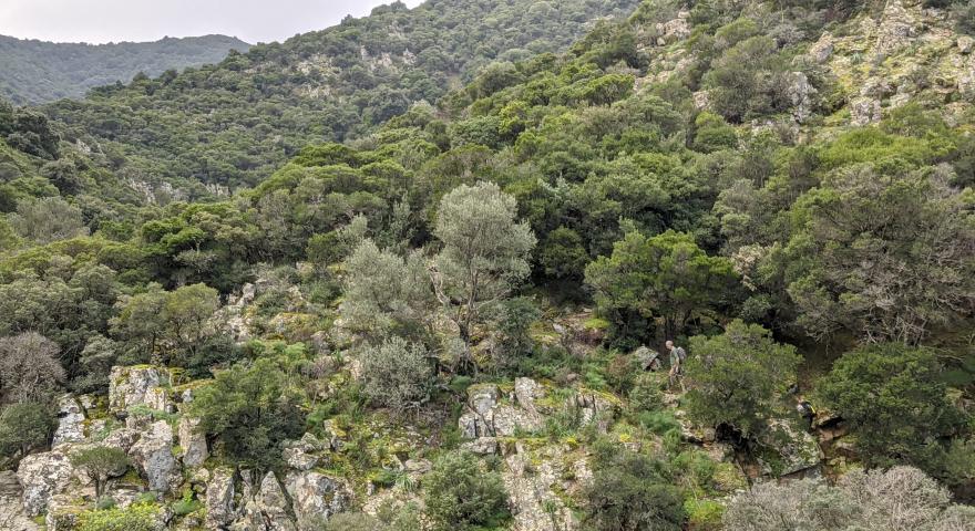 Panoramica sulla parte alta e rocciosa del percorso nella valle del rio sa Spindula