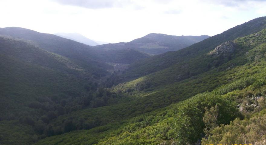 Panorama lungo il sentiero 101 da Genna Filixi 