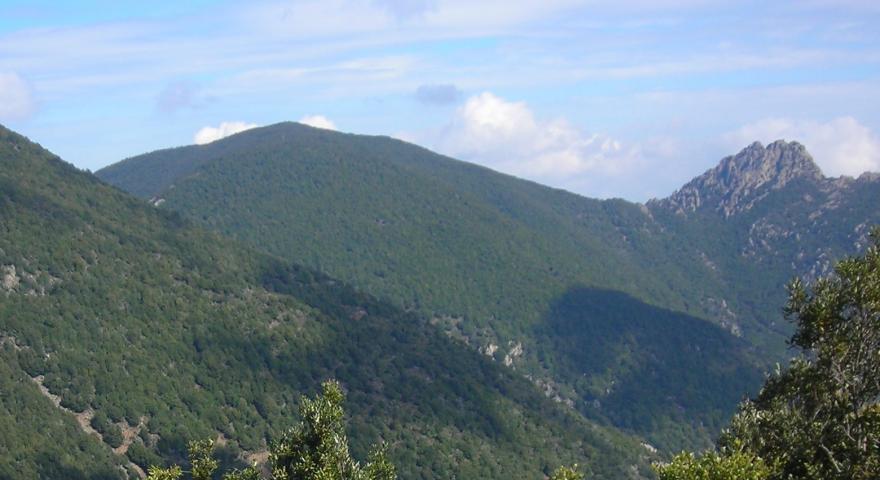Monte Is Caravius, vista dal Monte Sa Mirra