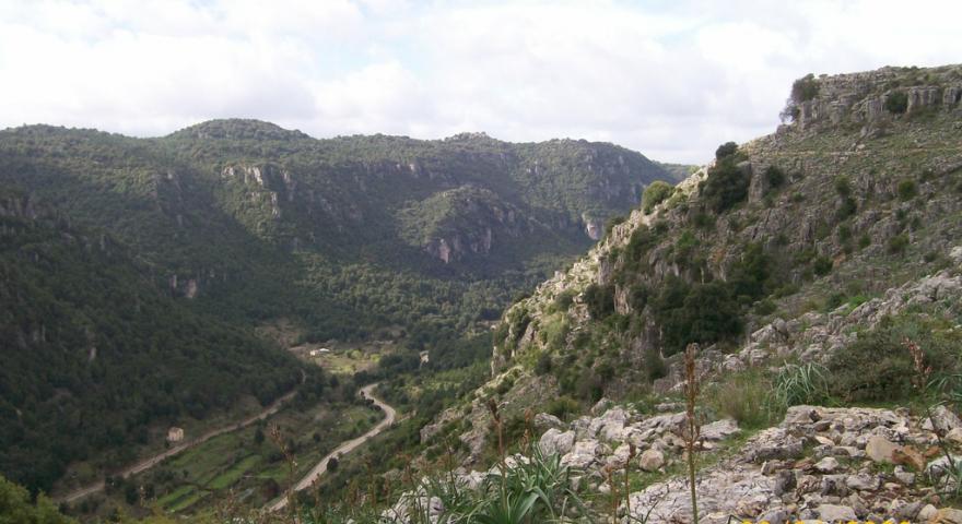 Gairo, panorama dal sentiero T-102 