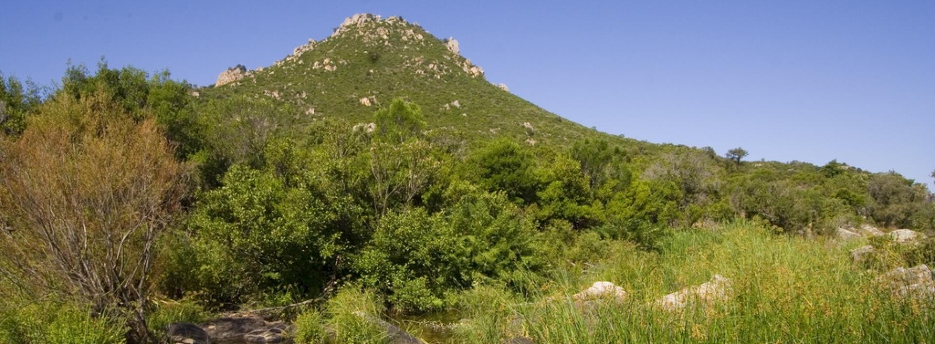 Bitti, parco naturalistico di Tepilora