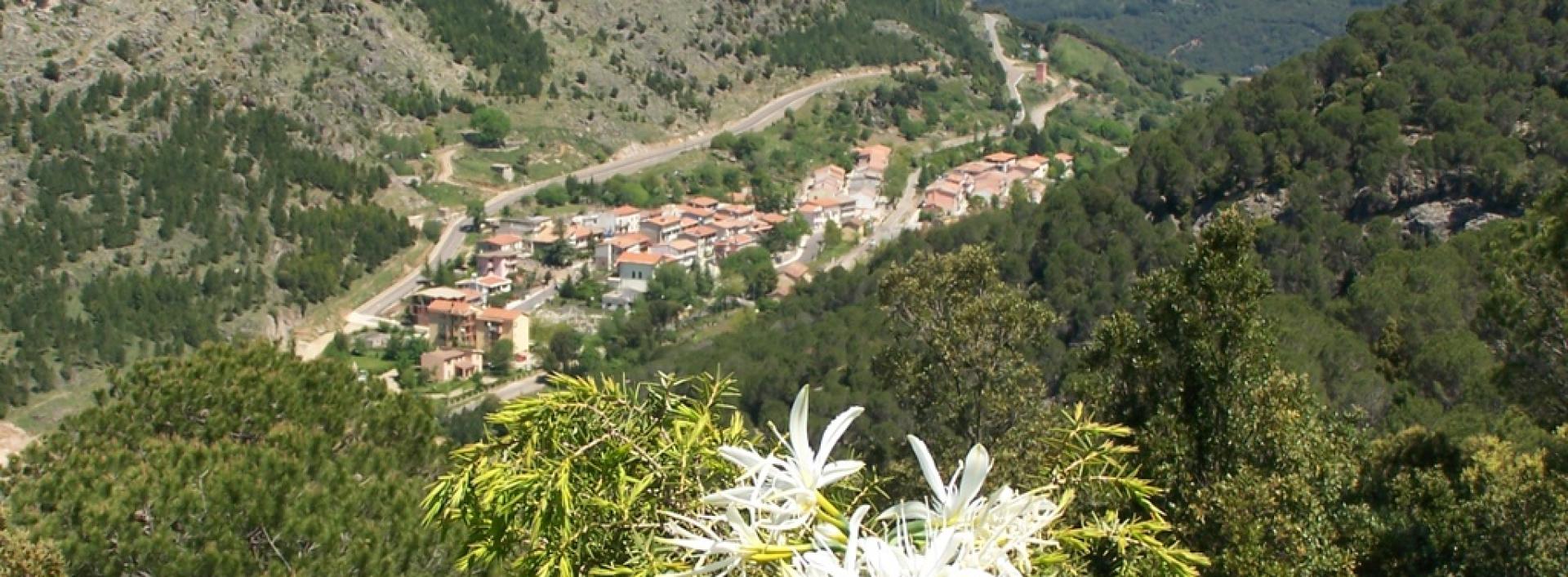 Gairo, panorama della frazione di Taquisara