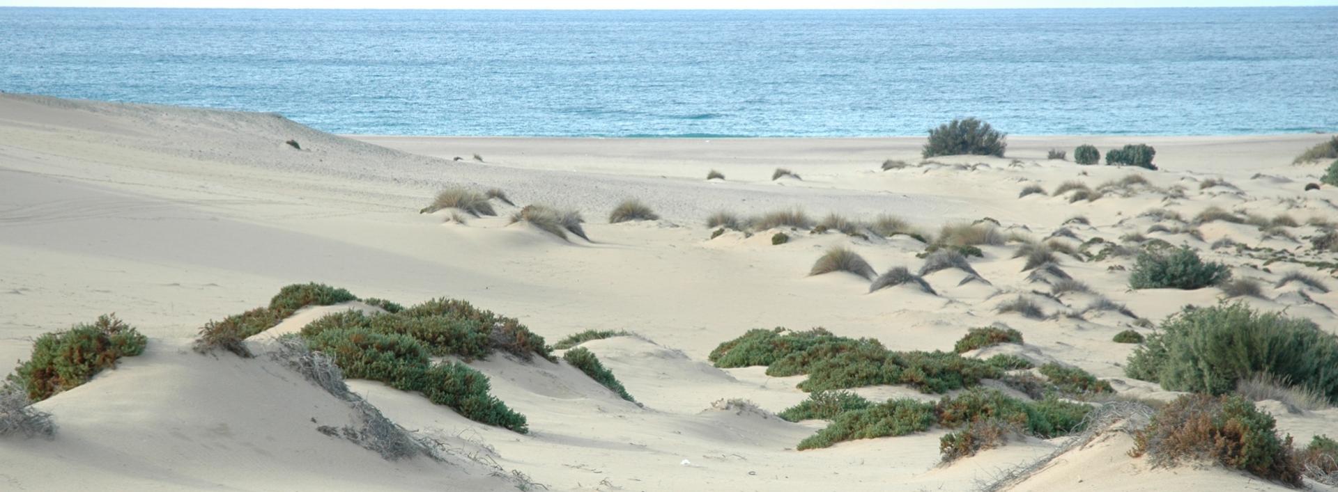 Spiaggia di Piscinas, le dune