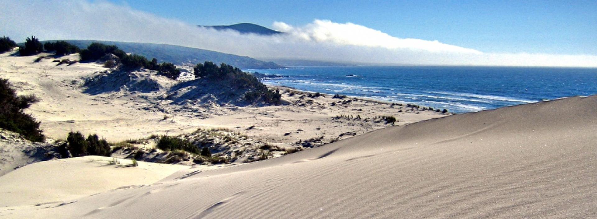 Teulada, le dune di Porto Pino