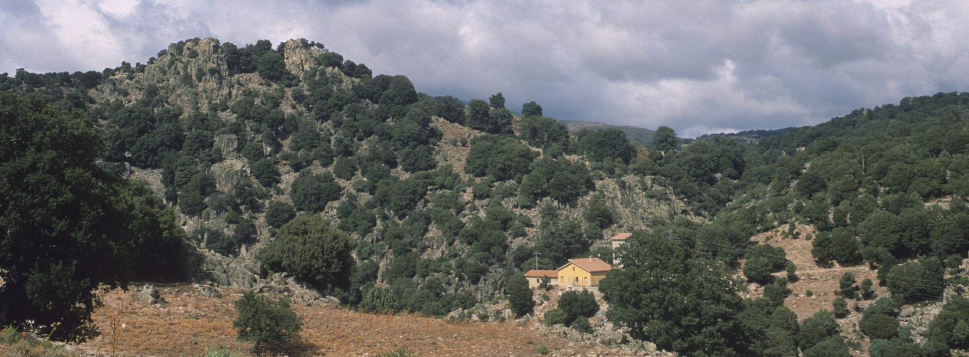 Villagrande Strisaili, paesaggio