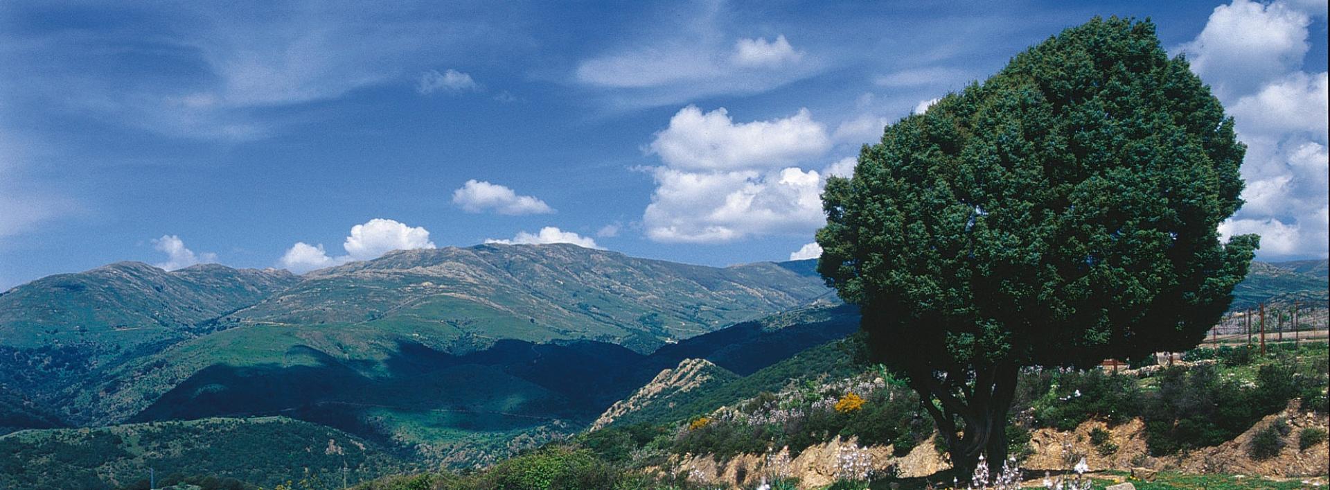 Arzana, paesaggio del Gennargentu