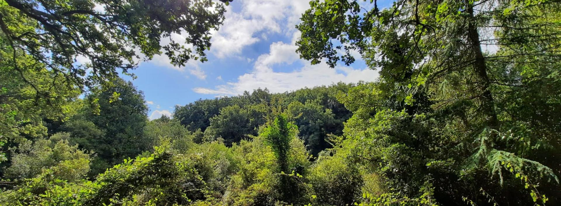 Panorama dalla Area di sosta di Sa Minda