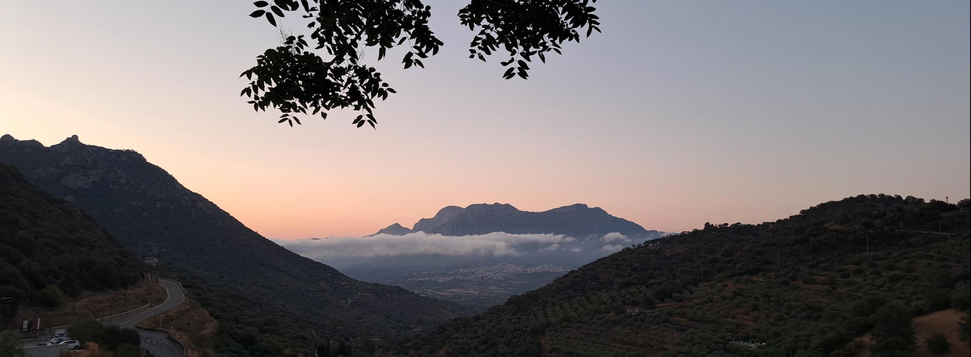 Monte Corrasi visto dalla strada per Nuoro