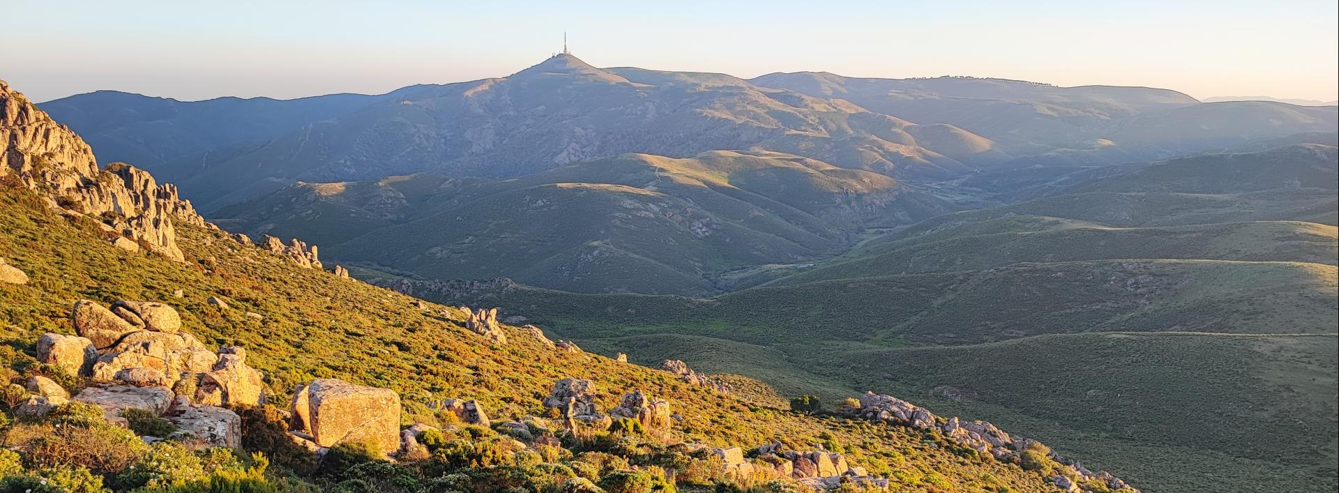 Lungo il sentiero C 400A - Monte Genis, Villasalto