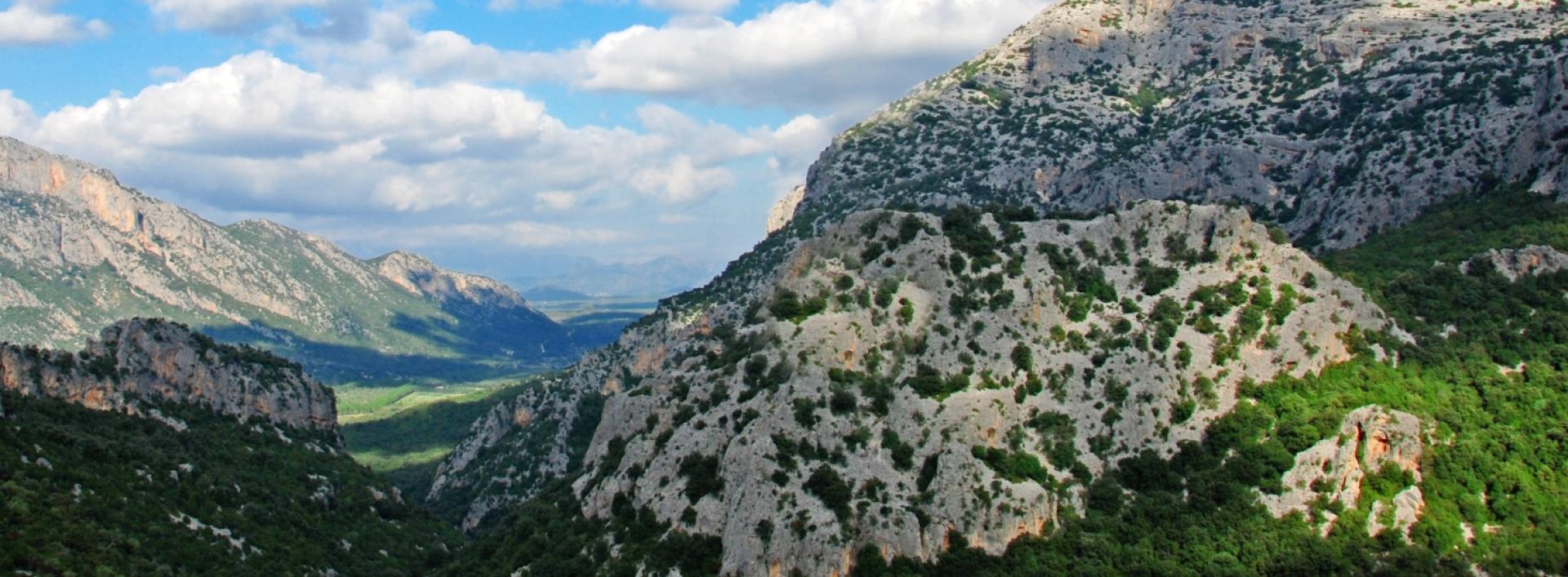 Dorgali - Valle Surtana