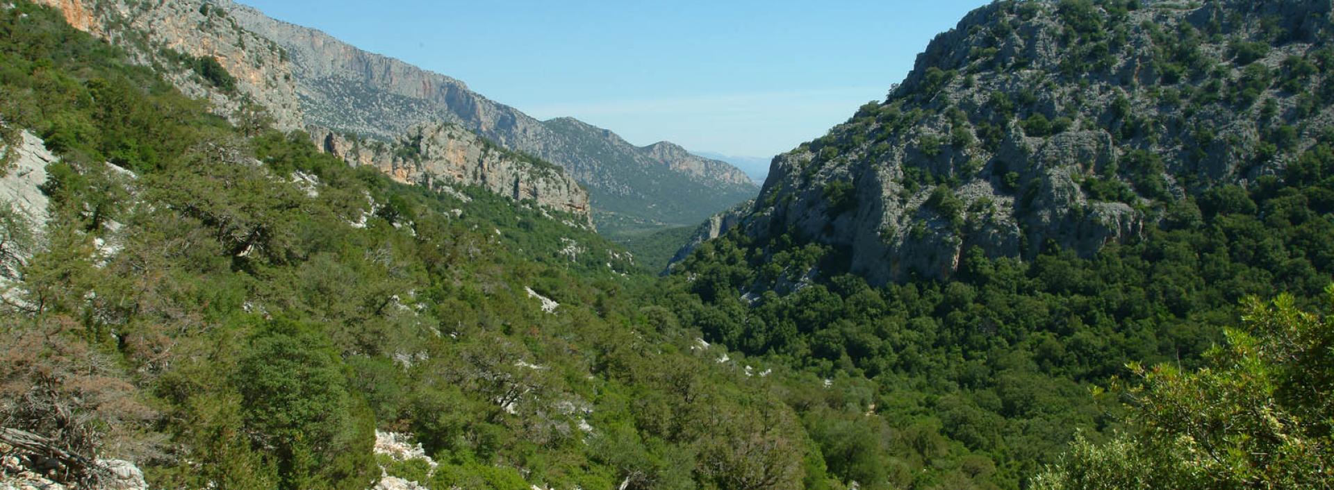 Lanaitho, sul sentiero per Tiscali
