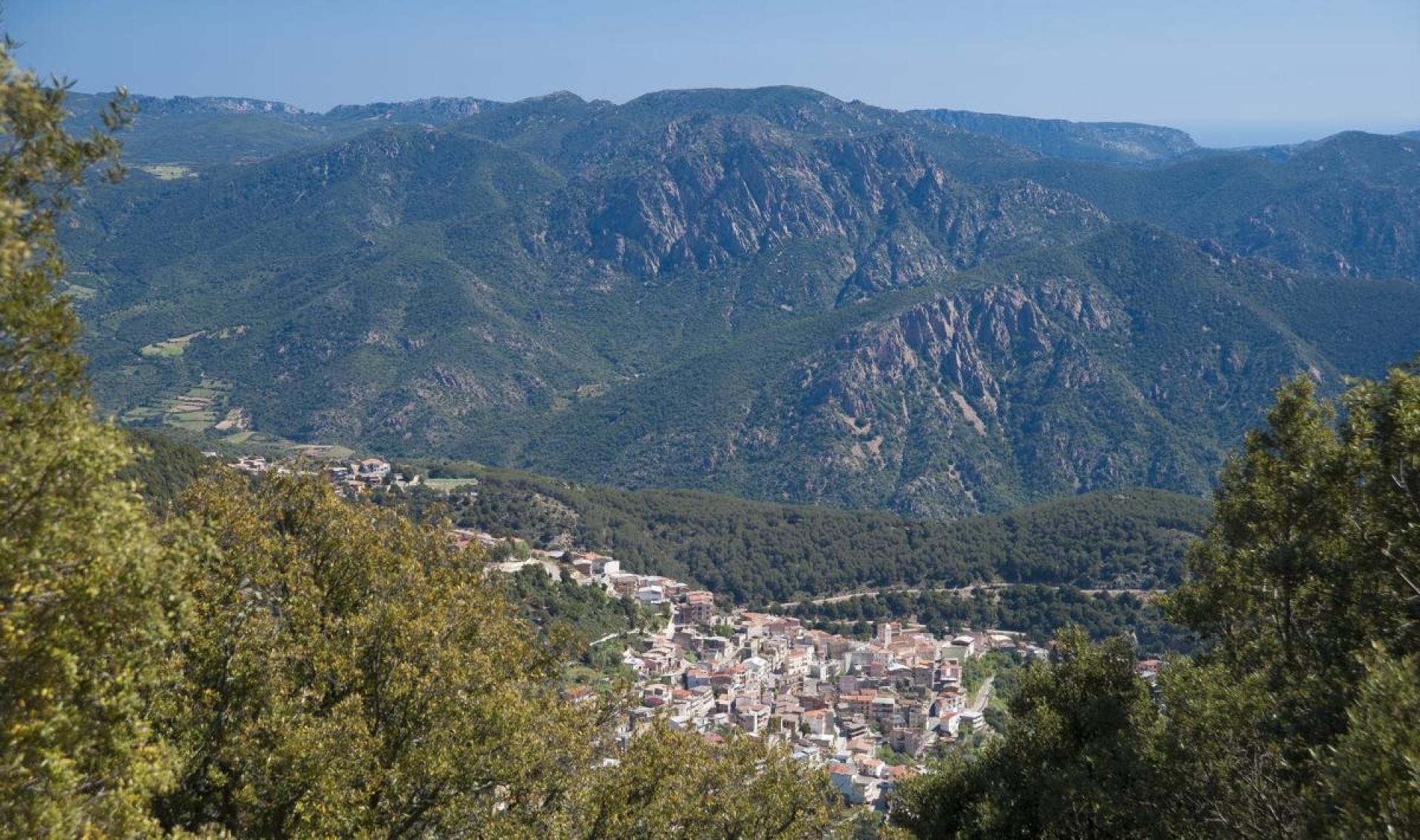 Comune Talana