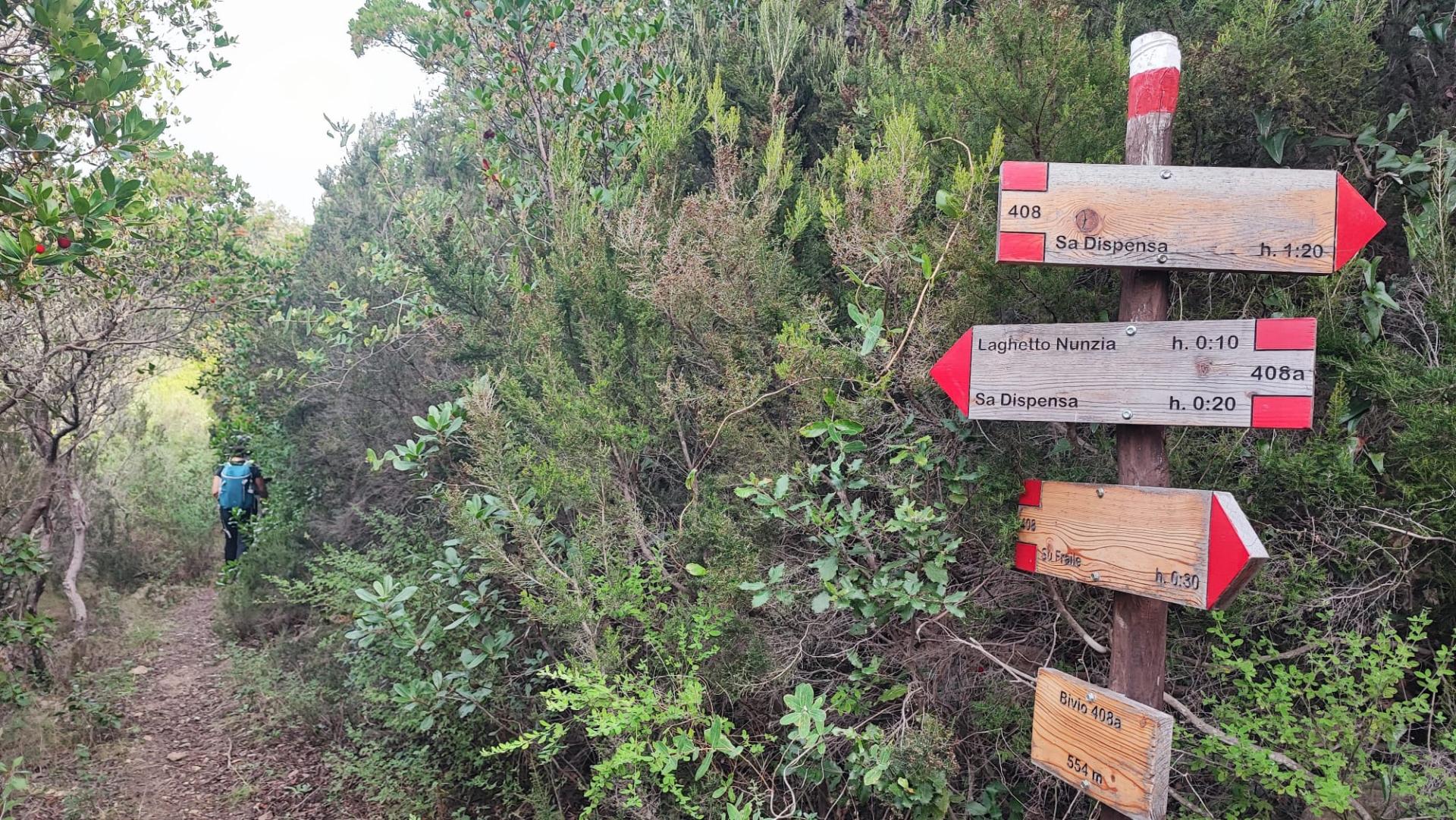 Bivio con diramazione 408. 408A