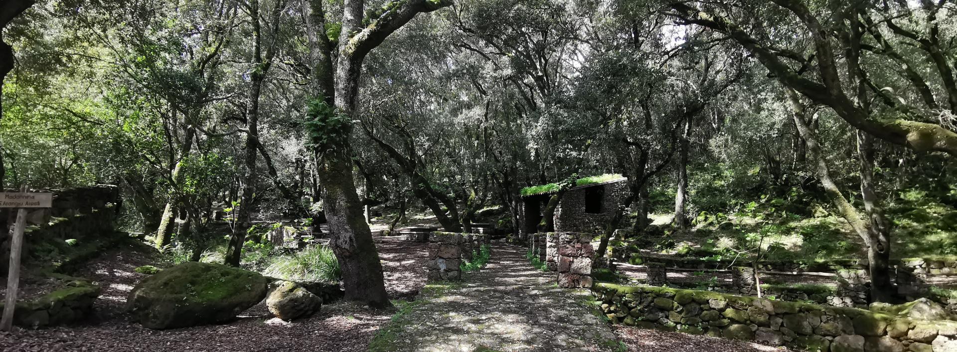 Area pic-nic S'arangiu Aresti, sentiero 435 - Villaurbana