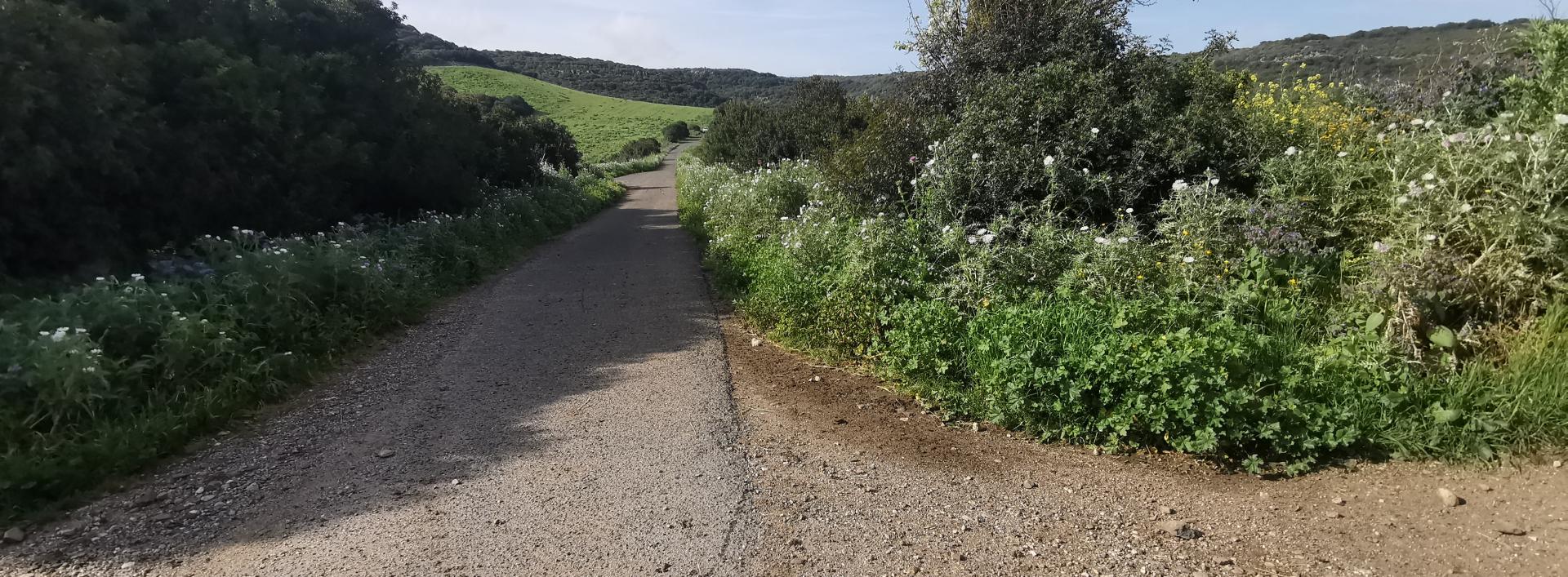 Incrocio per nuraghe Bamendula, sentiero 437 - Villaurbana