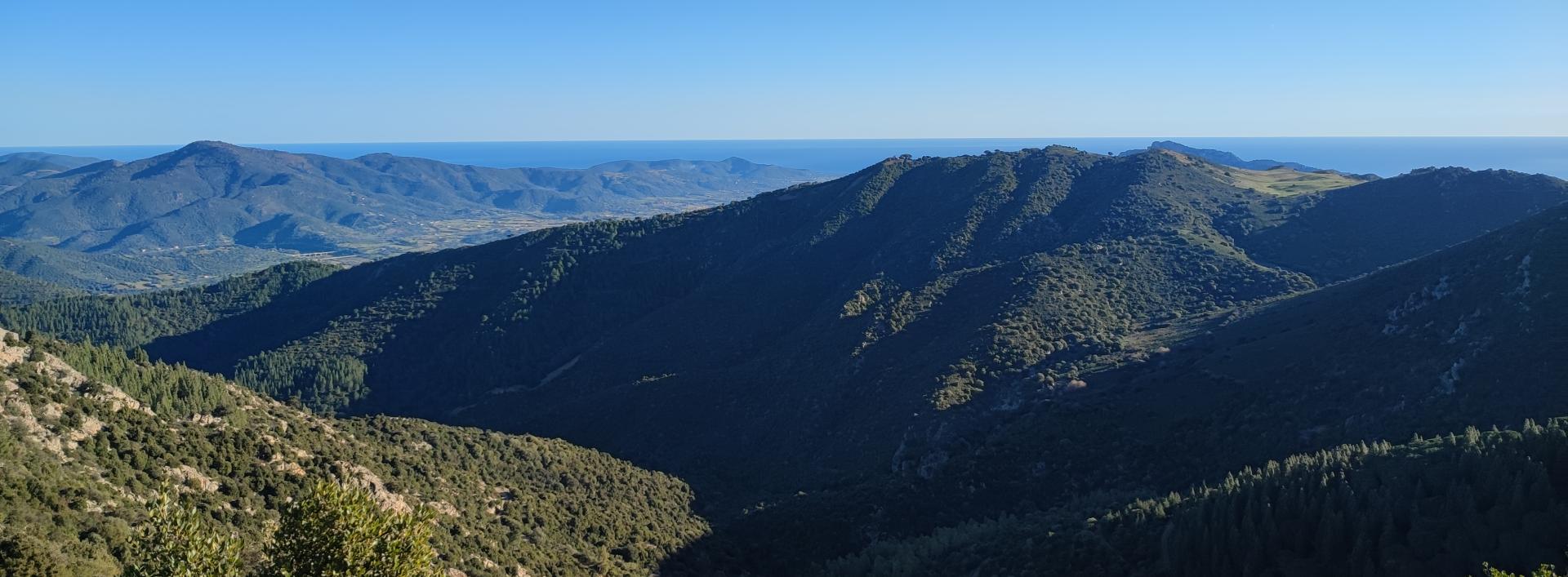 Panorama