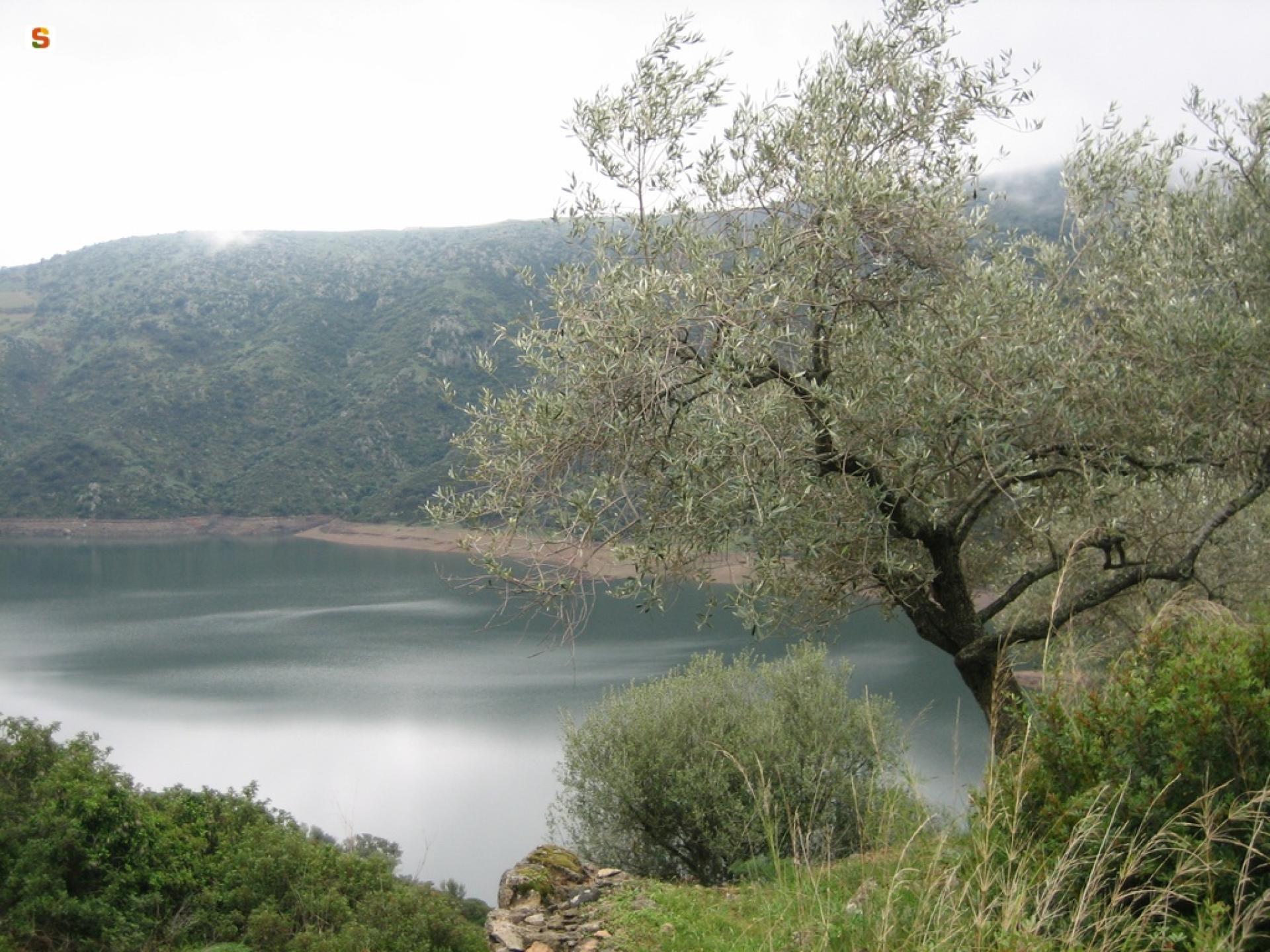 Lago Flumendosa.jpg