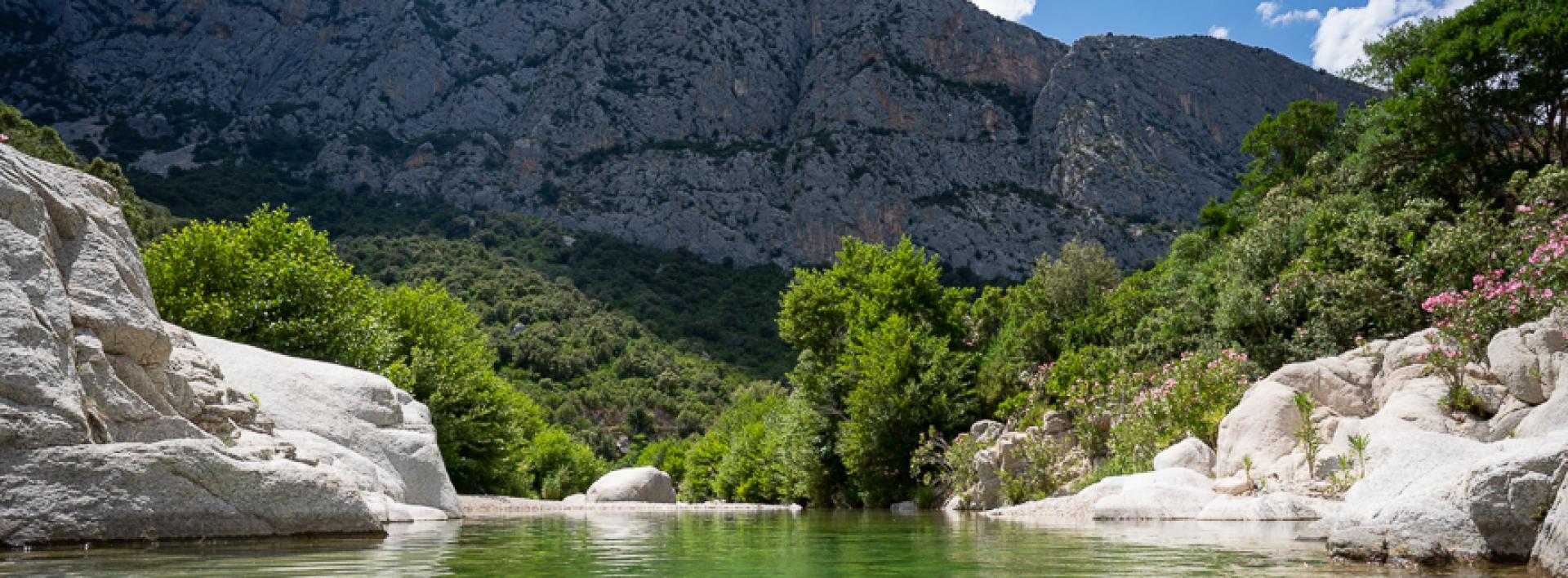 Riu Flumineddu presso Ponte Sa Barva (481 e 485).jpg