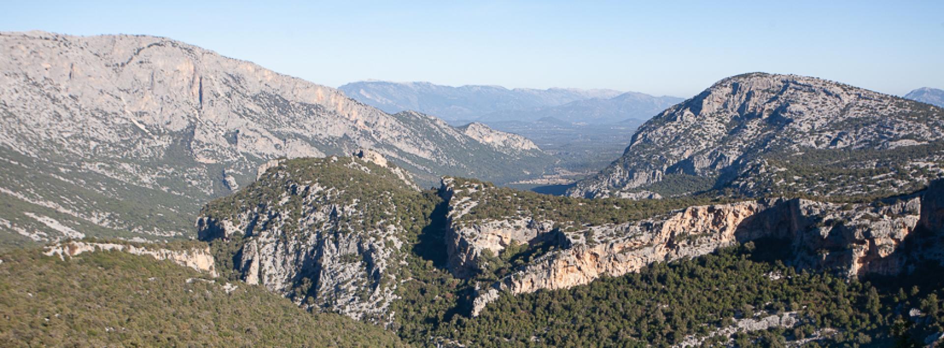 Vista verso nord da Sa Praiche 'e antonette (480).jpg